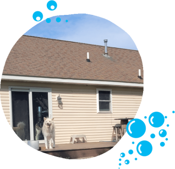 Power Pros offers the Port Huron area roof cleaning.